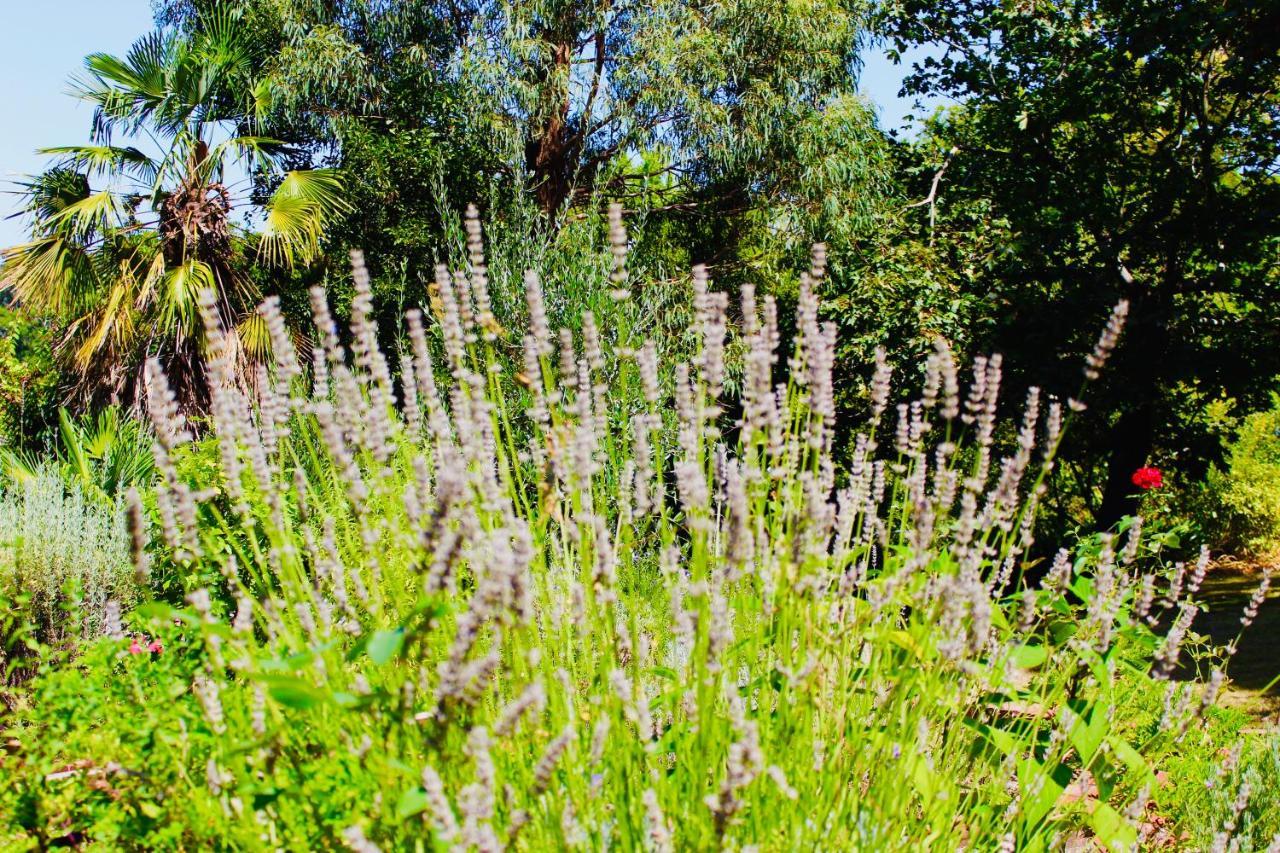 Nagoondie Studio Healesville Luaran gambar